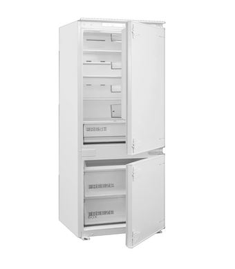 FBFN 4101